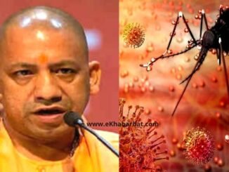मादा मच्छरों के पीछे पड़ी योगी सरकार, स्वास्थ्य विभाग को दिया 'ये' टार्गेट l CM Yogi Adityanath give target to health department to catch mosquitoes