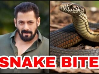बॉलीवुड सुपरस्टार सलमान खान को बीती रात सांप ने काट लिया है.. l Bollywood superstar Salman Khan Salman Khan snake bite
